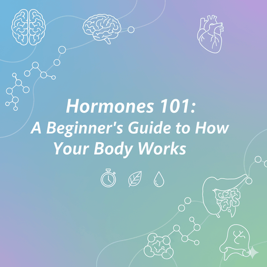 Hormones 101: A Beginner’s Guide to How Your Body Works!! - Meethi Golee