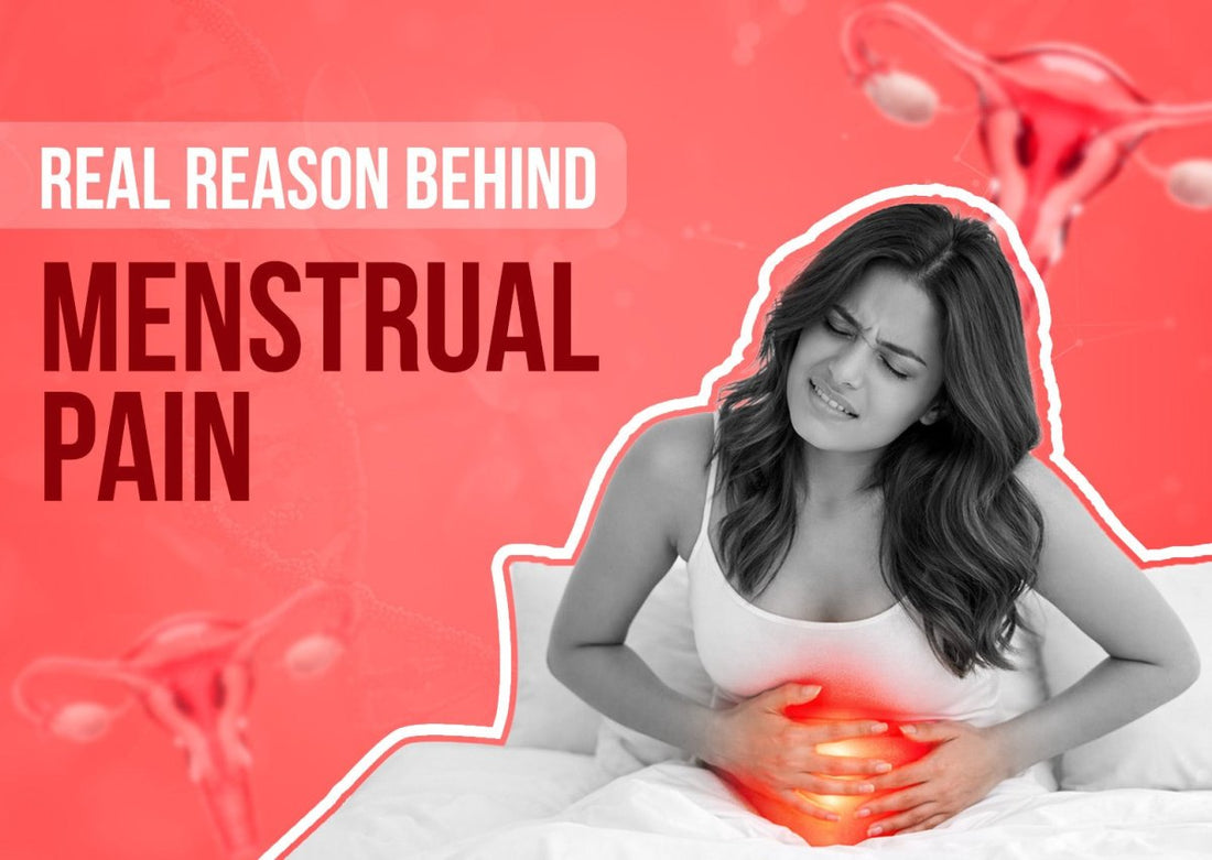 Why Do Period Cramps Hurt So Much? Understanding the Real Reason Behind Menstrual Pain - Meethi Golee